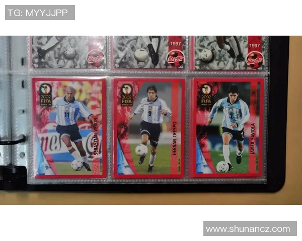 帕尼尼五星级球星卡价值分析及收藏前景探讨